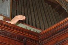 IMG_1561