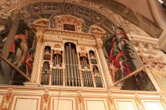 IMG_4176-Copy