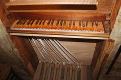 IMG_4182-Copy