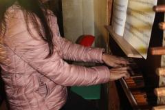 IMG_4186-Copy